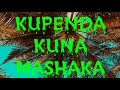 Badi Star - Kupenda Kuna Mashaka Official Taarab Audio Mp3 Song