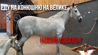 ПЕРЕШЛА К НОВОМУ КОВАЛЮ? | ЕДУ НА КОНЮШНЮ НА ВЕЛИКЕ | ВЛОГ