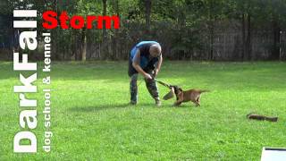 DarkFall Soviet Storm - bitework (3,5 months)