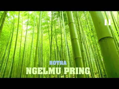 Rotra - Ngelmu Pring [Makna+Lirik+Terjemahan]