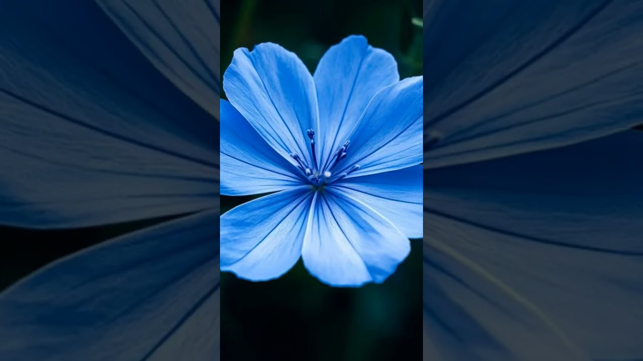 # love # positive quotes # life # calm music # fresh mood # Marathi quotes # Good vibes # viral