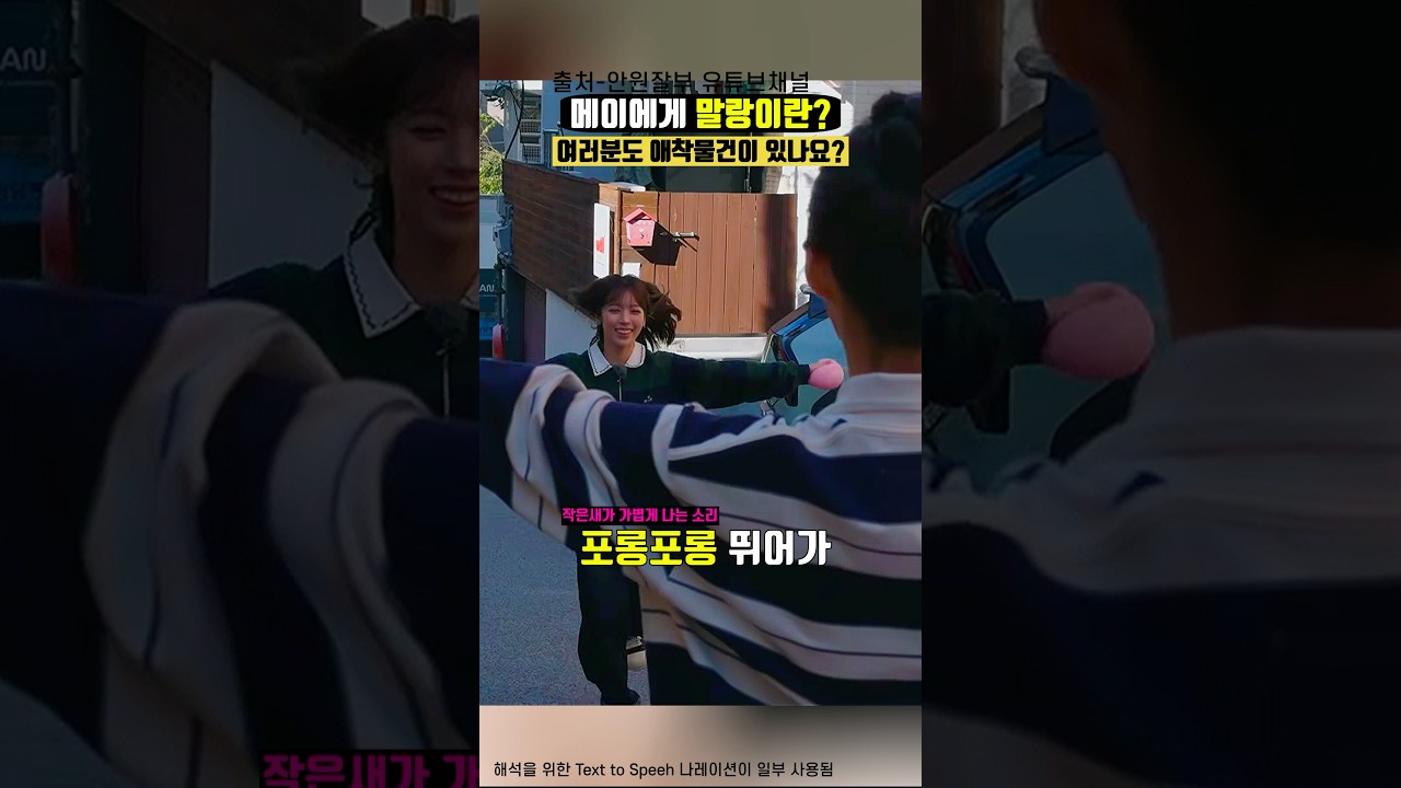 안원잘부에서 보여준 메이에게 말랑이란 존재의 의미