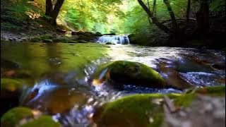 Download lagu Suara aliran sungai untuk pengantar tidur