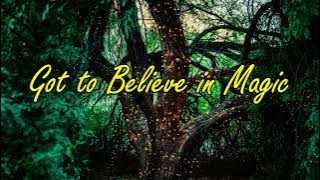 Got To Believe In Magic (lyrics) - David Pomeranz