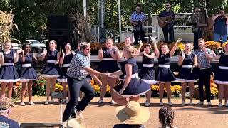 Bailey Mountain Cloggers with Michael Cleveland and Flamekeeper