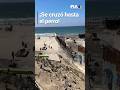 ¡Hasta Firulais cruzó! | Migrantes aprovecharon para cruzar el muro fronterizo en playas de Tijuana