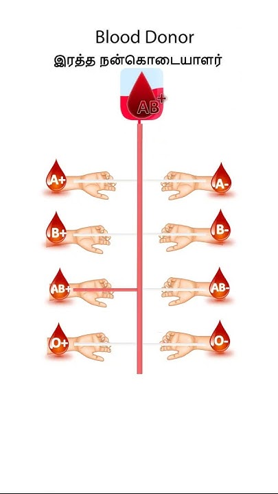 blood-donor-l-l-which-blood-group-is-for-whom-l