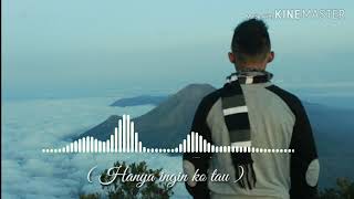 HANYA INGIN KO TAU...  Status wa