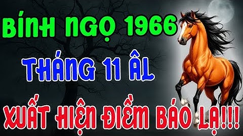 XUẤT HIỆN ĐIỀM BÁO LẠ !!! Tuổi Bính Ngọ 1966, Tháng 11 Âm Lịch Không ai giải thích nổi vì sao!