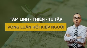 Nhận Diện Tiến Trình 3 Độc Đến 3 Gốc - Vòng luân hồi | Tâm Linh Thiền Tu Tập - Trần Việt Quân