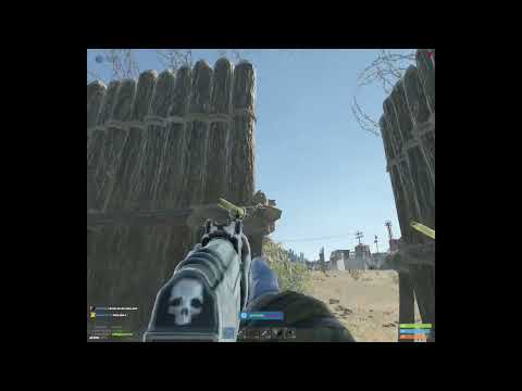 2 roams and some tom foolery