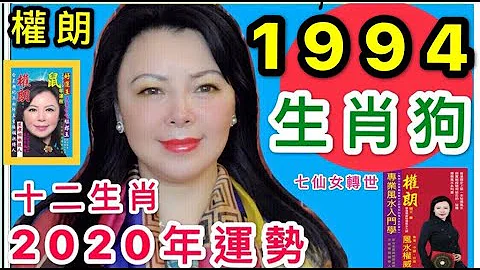 【1994年屬狗】2020年生肖狗運程全解, 事業 ,財運,愛情,桃花,感情 ,權朗 - 天天要聞
