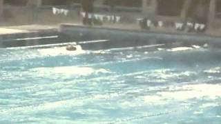 Mahmoud Galal Swimming Legend 