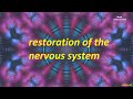 Restoration of the nervous systemsession81