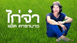 เพลงไก่จ๋า (แอ๊ด คาราบาว) - CARABAO.NET chords