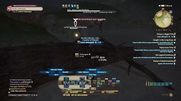 Final Fantasy XIV: Stormblood Level 68 FSH Quest