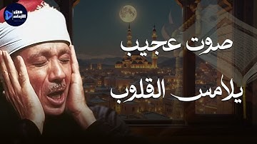 صوت عجيب يأسر الأرواح… عبدالباسط عبدالصمد في تلاوة خاشعة 🎧🕊️