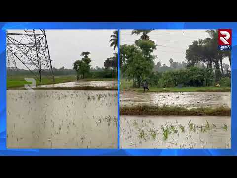 ఉత్తరాంధ్ర లో మొదలైన వరి నాట్లు | Paddy Transplantation Begun in North Andhra | RTV