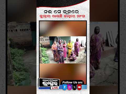 ନଈକୂଳରେ କୁମ୍ଭୀର ଖାଉଛି କାହାର ମାଂସ ...#shorts #trending