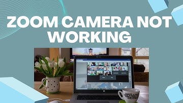 How To Fix Zoom Camera Not Working