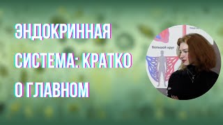 картинка: Эндокринная система и менструальный цикл (часть 1, запись 16 июня) | Анастасия Борисец