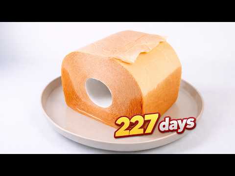 200 Days Of A Spider Living On A Wet Toilet Paper