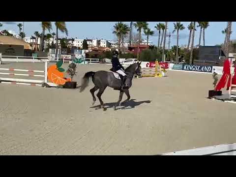 Zibaloubet CSIYH Oliva