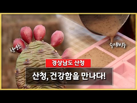산청, 건강함을 만나다! | 전국을 달린다-창원 (KBS 2023.12.20. 수 방송)