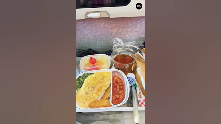 Emirates Economy Class Food A Foodie's Perspective #emirates #flight #emiratesflight #mealprep