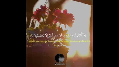 {قَالُواْ مَآ أَنتُمۡ إِلَّا بَشَرٞ مِّثۡلُنَا} || بصوت القارئ شريف مصطفى || أجمل حالات قرأنية