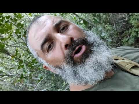 Φεύγοντας από το