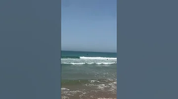صباح النور والسرور 