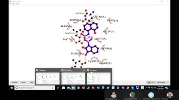 202111 5 d  Visualisasi dengan ligplus dan PyMol  D Antikolesterol Dr apt  Hari Purnomo, M S