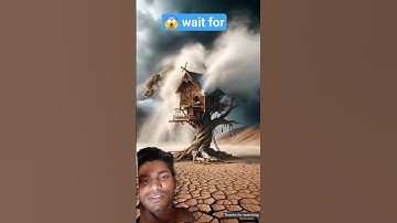 The monkey and his child live in a tree house and destroyed  strong storm  #ai