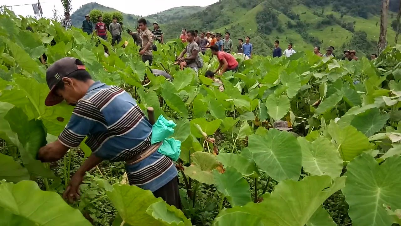 Chowmot at Longding(Zedua village)2018