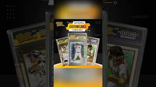 Non-Sports Label Customizer - (DIGITAL DOWNLOAD ONLY)