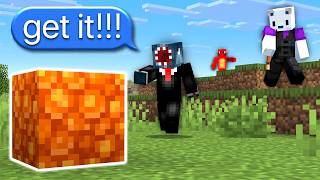 we raced for this minecraft block