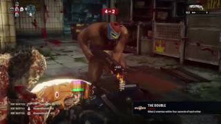 Gears Quad Feed