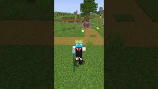 Is Minecraft Long Sword Real?