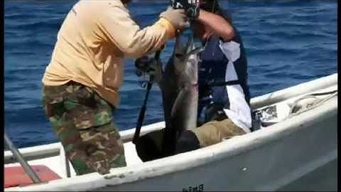 BKK HOOKS 2016 03 08