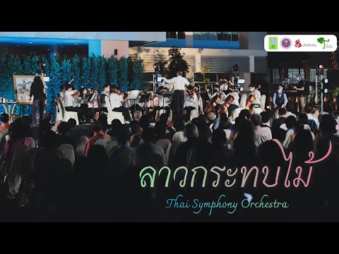 ลาวกระทบไม้ | Thai Symphony Orchestra