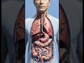 Foods That Fights Worms and Parasites #humanbody