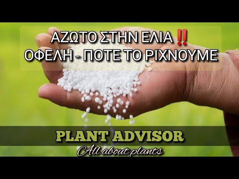 Βίντεο: Φυτά-δείκτες που βοηθούν στην αναγνώριση της σύστασης του εδάφους