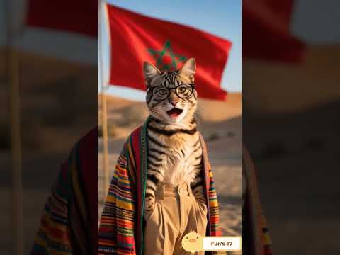       جيلان ها وليدي فيديو كليب