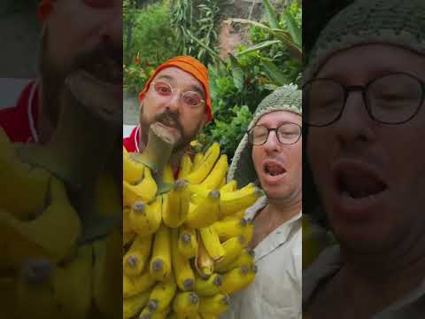 Ilha da Banana / Paródia Maria Joana