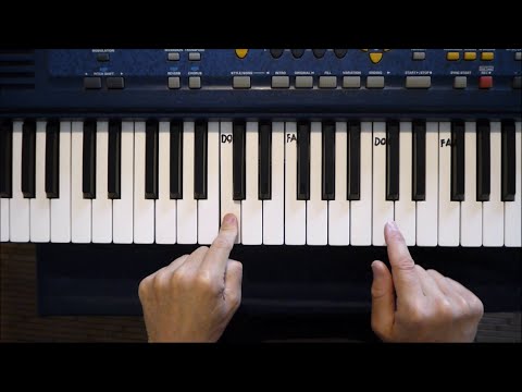 Video: Quanti tasti su un pianoforte?