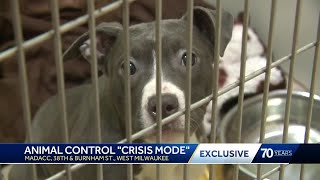 Milwaukee animal control 'in a crisis'