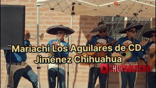 MARIACHI Los Aguilares de Cd. Jiménez Chihuahua