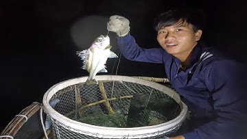 Kỷ Lục Giăng Câu Đêm Trúng Đậm Cá Căng - Chuột Miền Biển