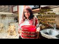 Vanlife living solo female 50   premium home made dog food  for my camper van dog  ep 89